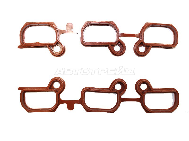 Прокладка впускного коллектора BMW 3-Series 90-06 / 5-Series 95-10 M52B20;M52B25;M52B28;M54B22;M54B2