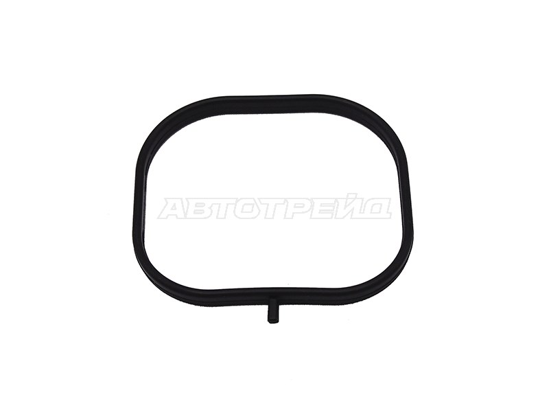 Прокладка впускного коллектора Mazda 3 08-13 / 6 07-12 L5VE