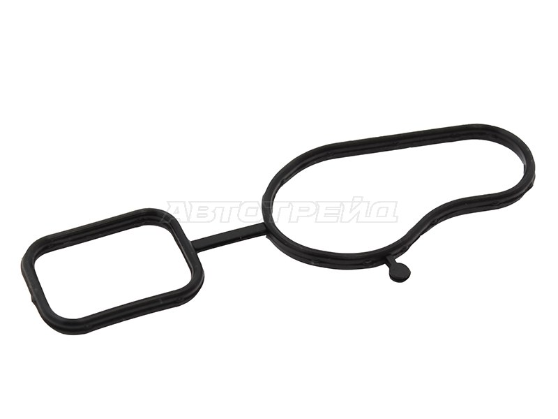 Прокладка помпы Audi A3 03-13 / A4 08-15 AXX;BPY;BWA;BYJ;BYT;BZB;CABA;CABB;CABD;CADA;CAEA;CAEB;CAED;