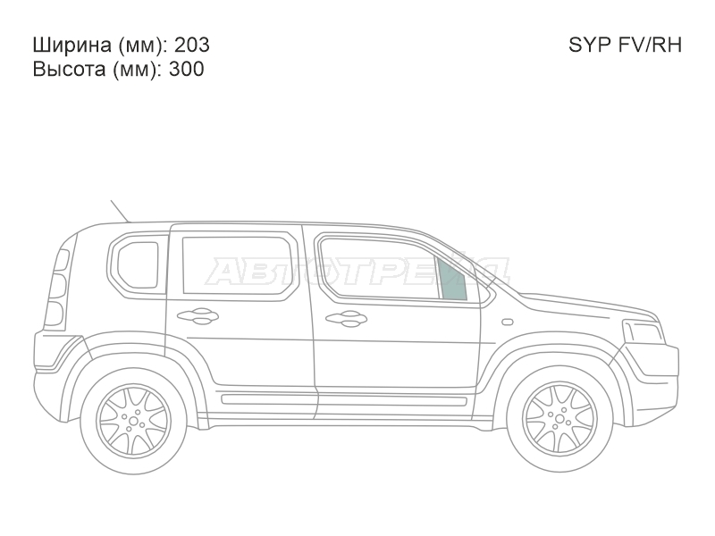 XYG SYP FV/RH