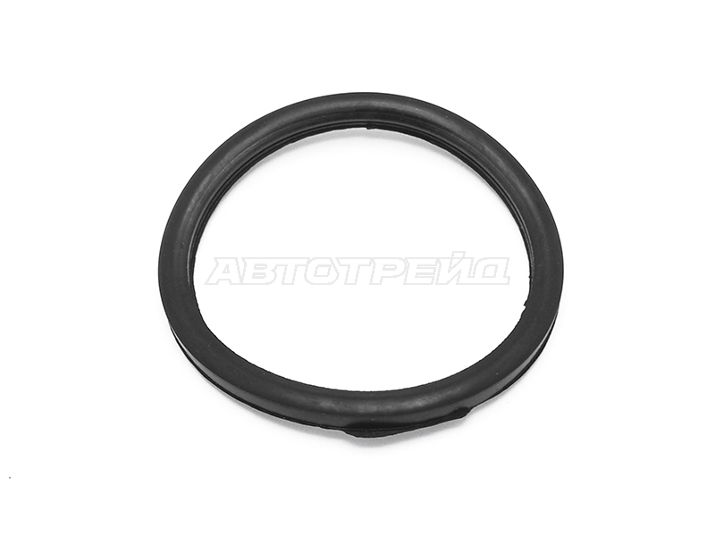 Прокладка термостата Renault Duster 10-21 / Kangoo 97-16 E5F;E6J;E7F;E7J;F4P;F4R;F4R720;F5R;K4J;K4M;