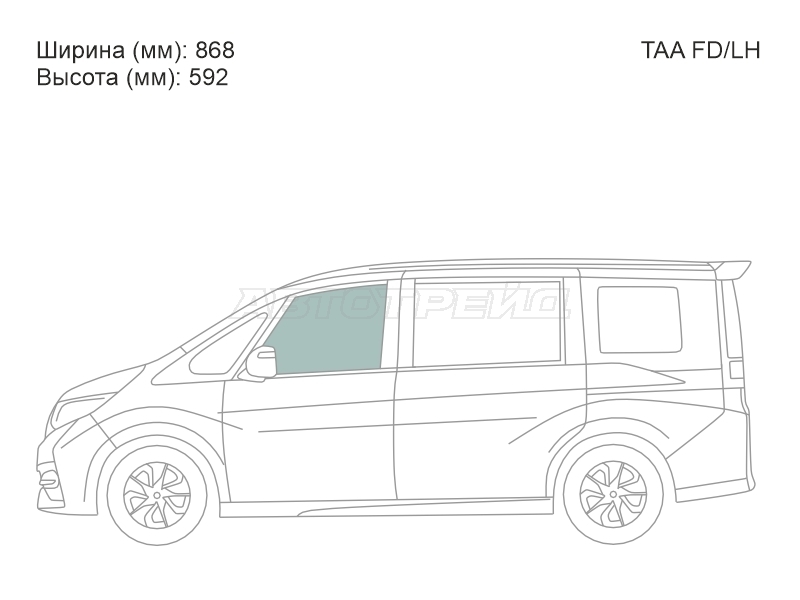 XYG TAA FD/LH