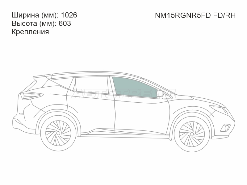 XYG NM15RGNR5FD FD/RH