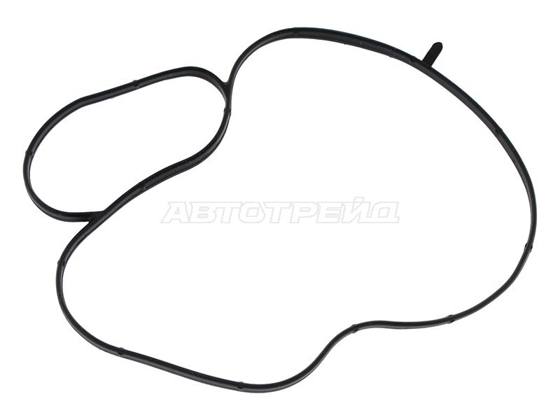 Прокладка помпы Audi A3 12-19 / A4 15- CHPA;CHPB;CHZA;CHZB;CHZC;CHZD;CHZE;CHZG;CHZJ;CHZK;CHZL;CJZA;C