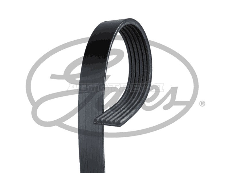 V-Ribbed Belts GATES 6PK1255