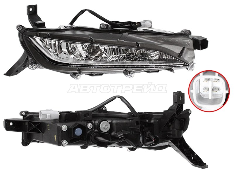 LEXUS 81210-48060