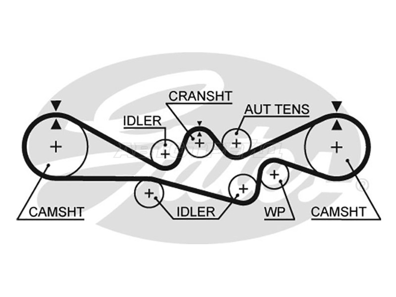 Ремень ГРМ GATES 5537XS